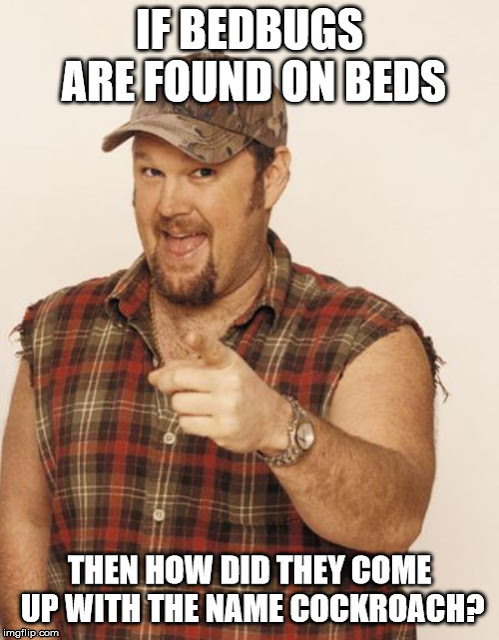 If Bedbugs Are Found on Beds - meme