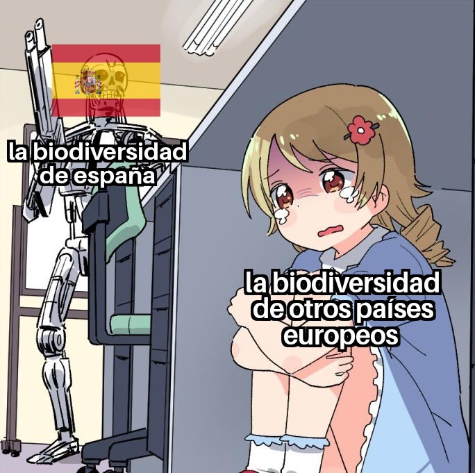 Orgullo de ser español - meme