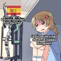 Orgullo de ser español