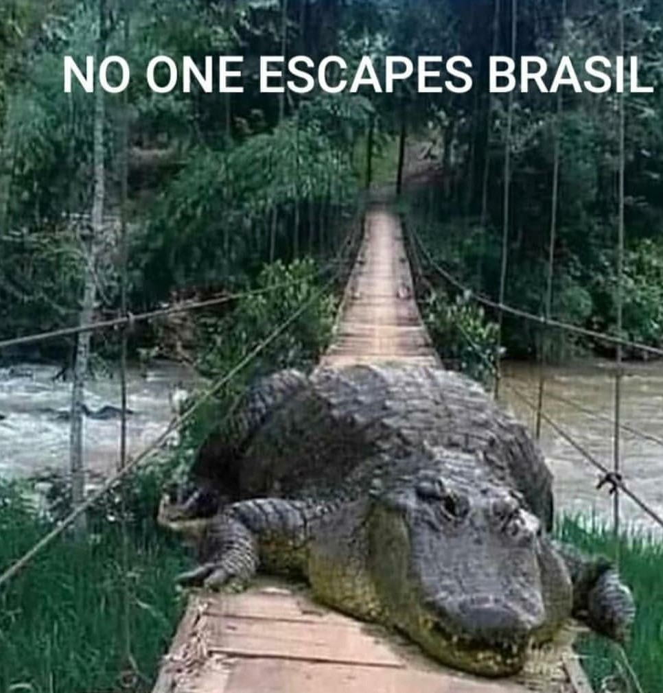 No scape of brazil kkkkkk - meme