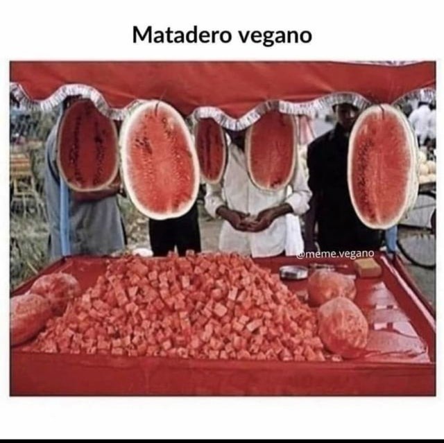 matadero vegano - meme