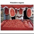 matadero vegano