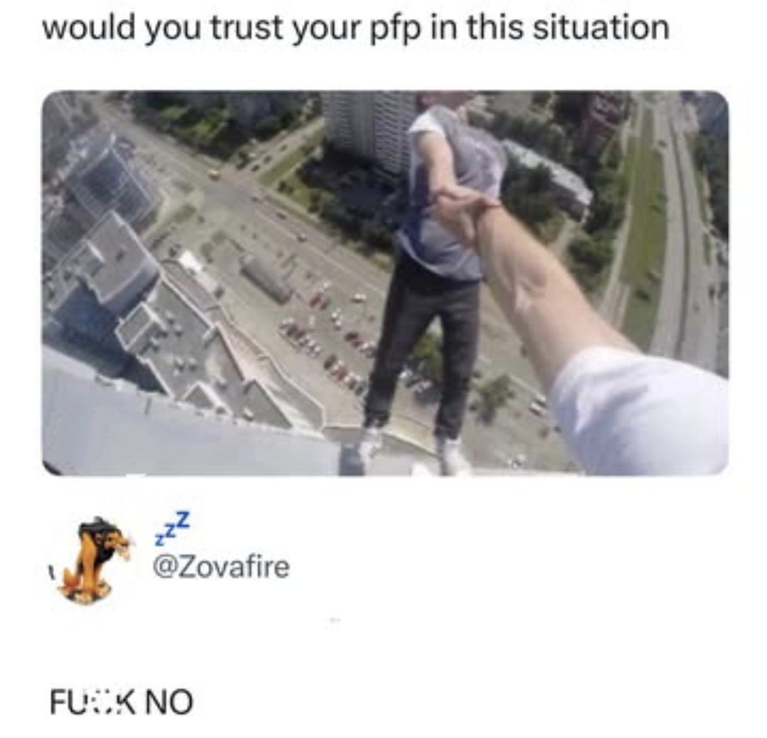 Would your pfp survive this? Mine's already crying bro - meme