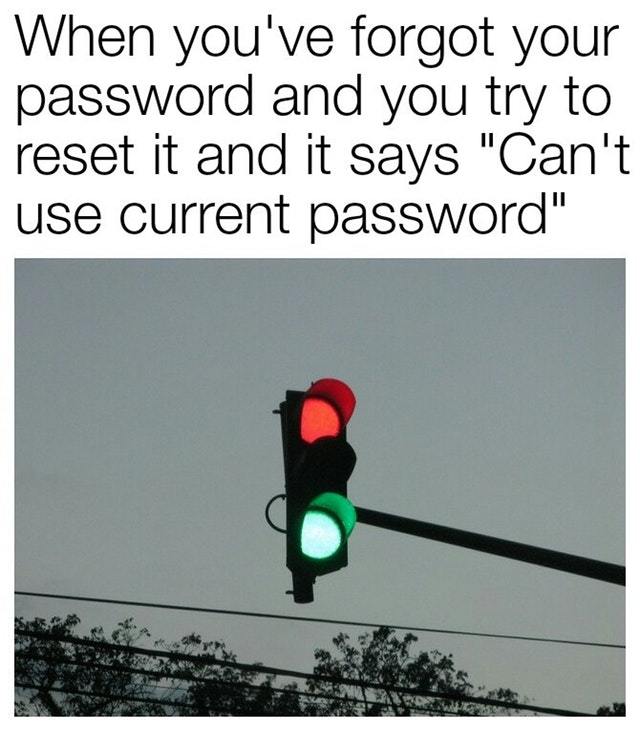 Reseting your password - meme