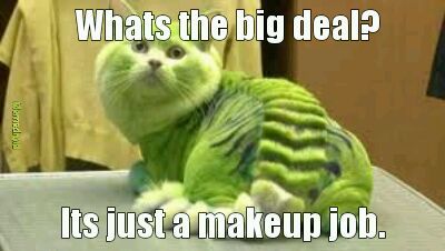 green cat - meme