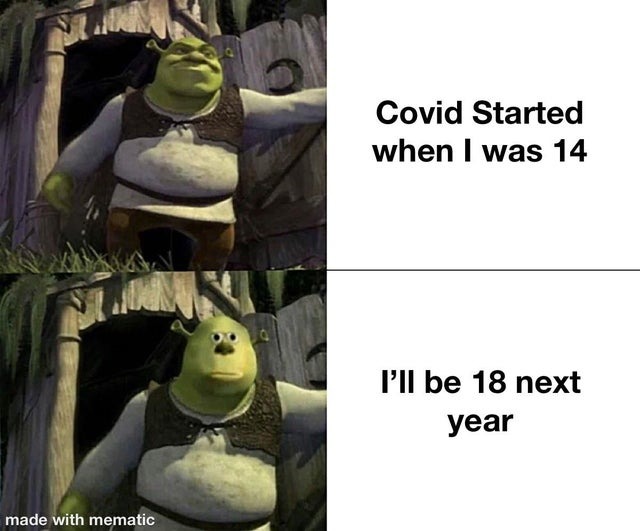 Covid started when I was 14, I'll be 18 next year - meme