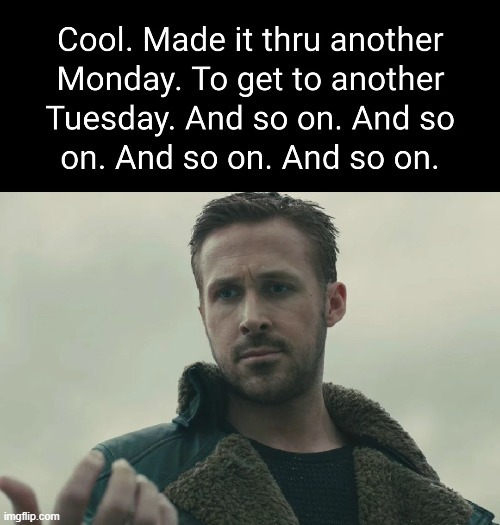 Made it through another Monday to get to another Tuesday - meme