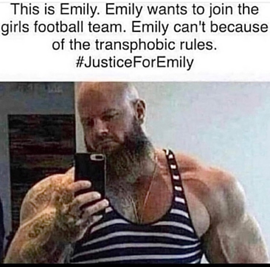Poor Emily - meme