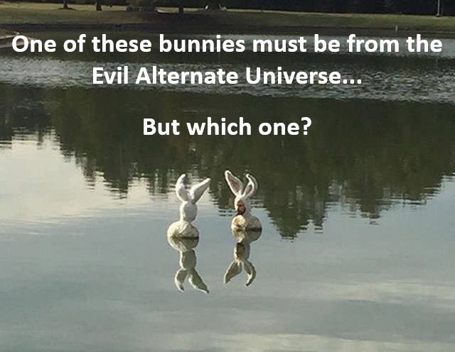 Good vs. Evil - meme