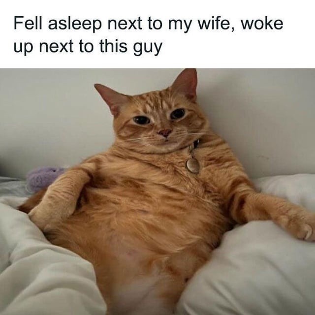 ﻿Fell asleep next to my wife, woke up next to this guy