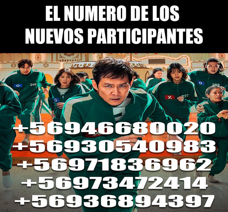 EL NUMERO DEL CALAMAR - meme