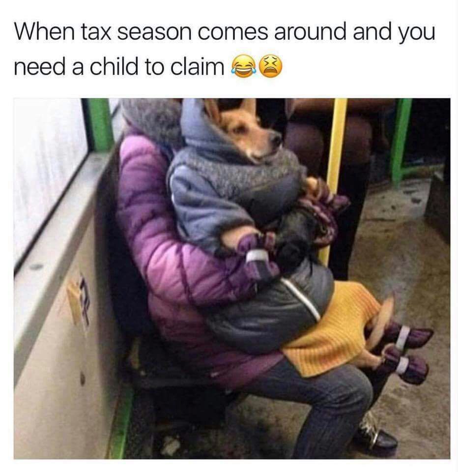Oh taxes - meme