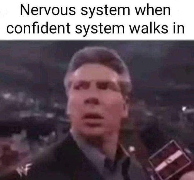 Nervous system vs confident system - meme