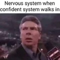 Nervous system vs confident system