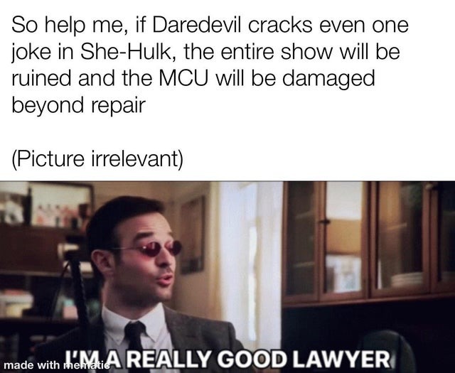 I'm really good lawyer - meme