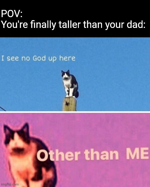 POV: You're finally taller than your dad - meme