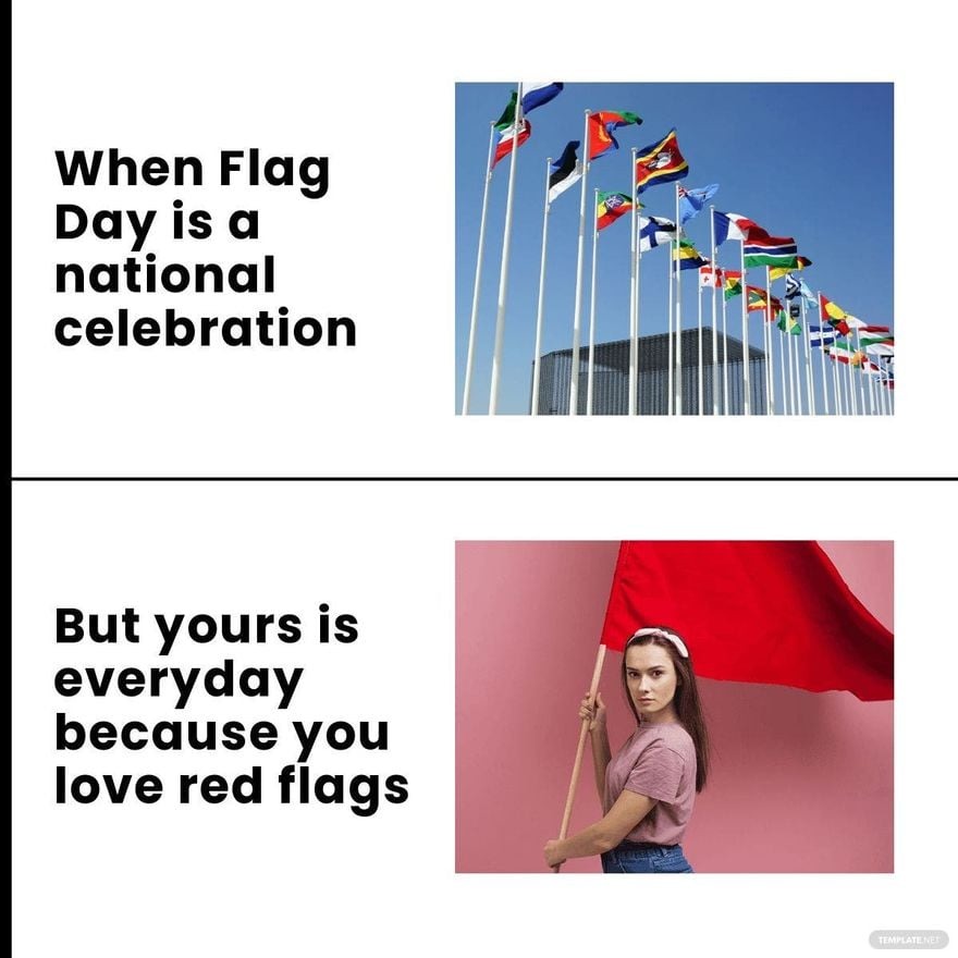 Flag day meme