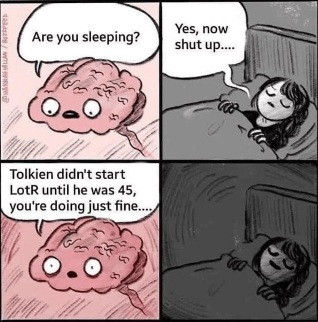Lotr life motivation - meme