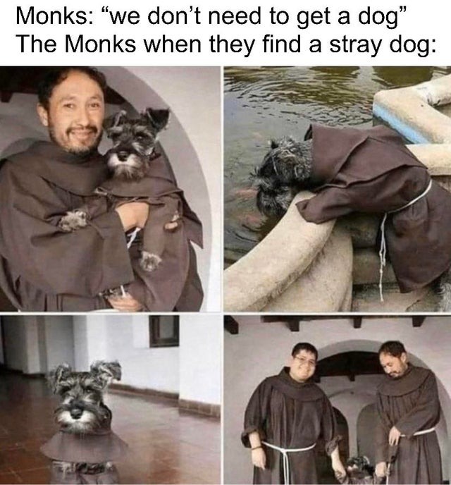 Monk dog - meme