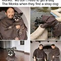 Monk dog