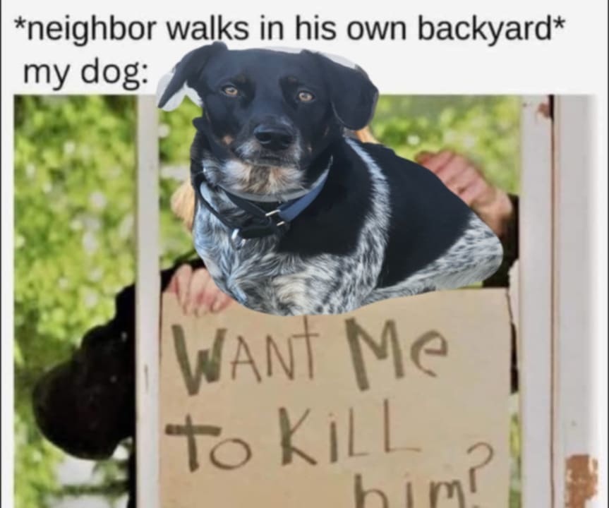 Blue, No - meme