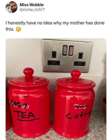 moms have their own system - meme