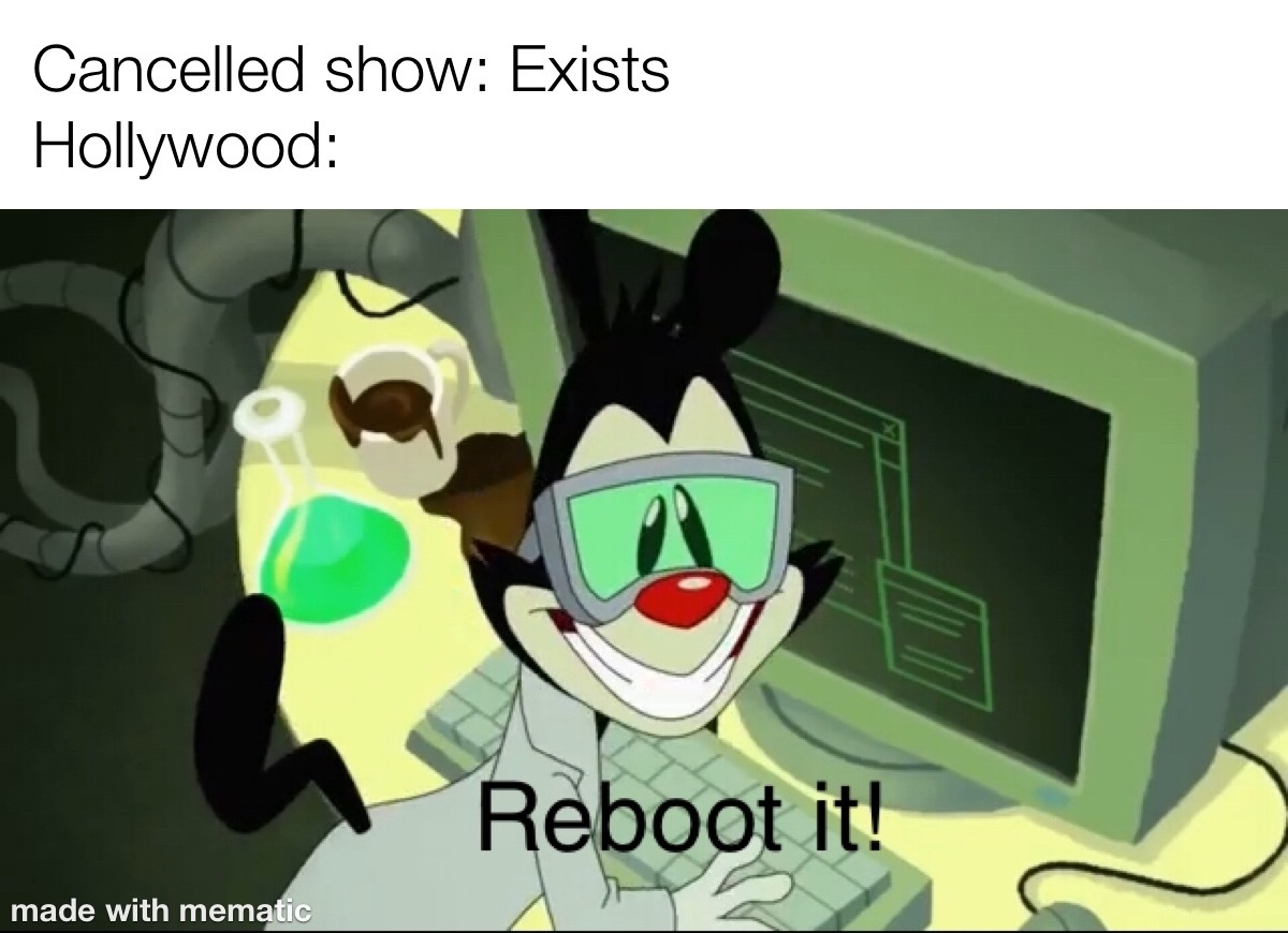 The new animaniacs is funny so far - meme