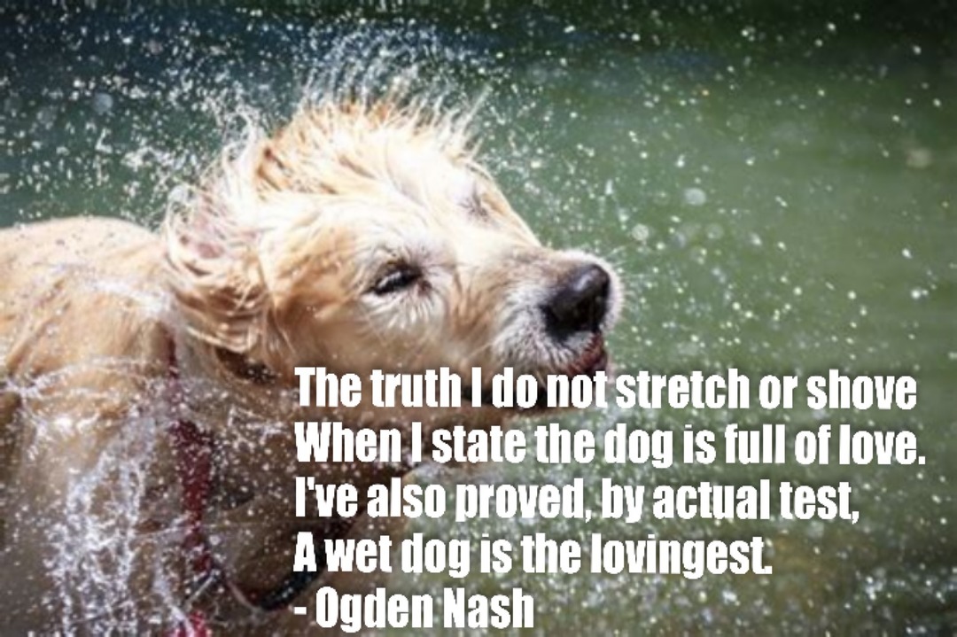 Ogden Nash was a funny poet. - meme