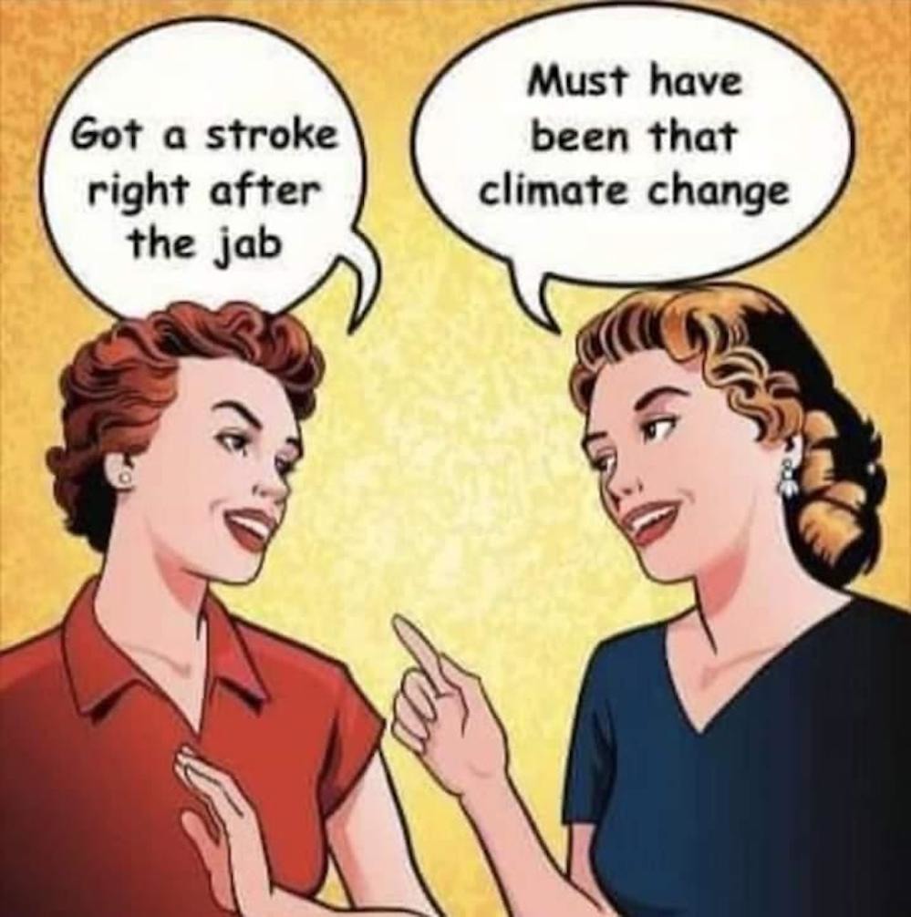 (((Climate change))) - meme