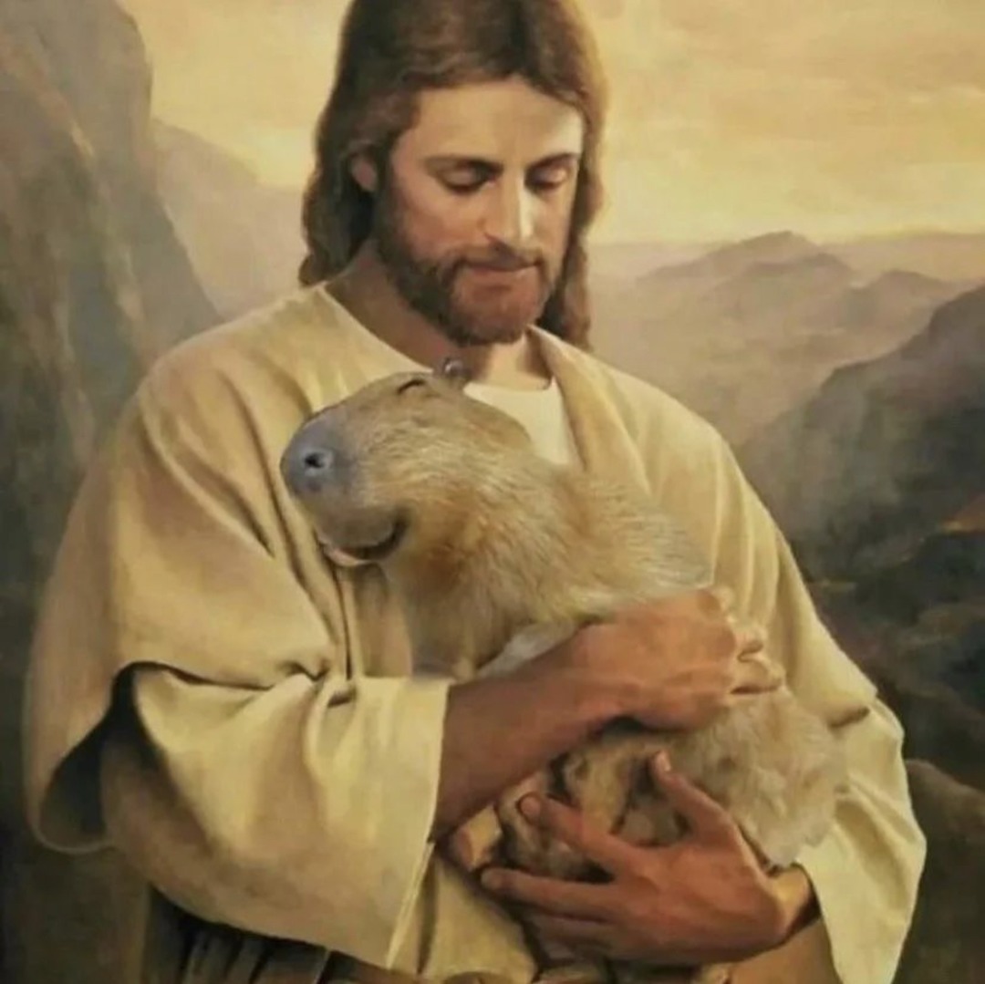 Capibara y jesus - meme