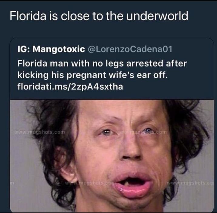 Florida man news are wild - meme