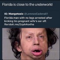 Florida man news are wild