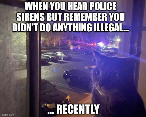 Hearing sirens and panicking even though you're basically innocent - meme