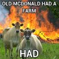 Old Mcdonald HAD a farm
