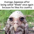Japanese weebs