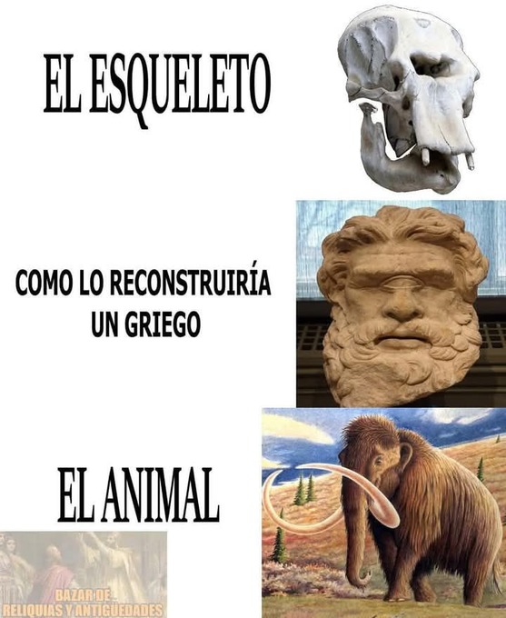 restos oseos y su reconstrucción - meme