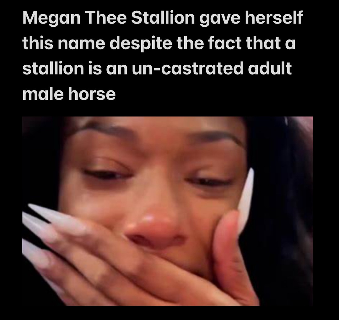 she does look like a male horse at times - meme