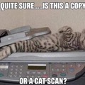 A copy cat scan