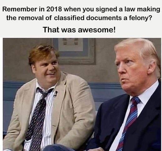 Truly bigly awesome  - meme
