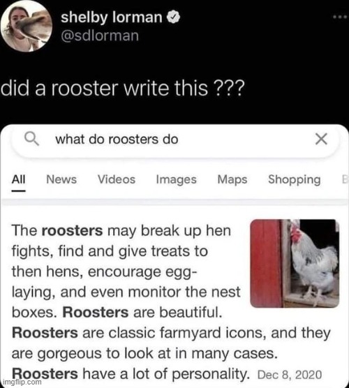 Roosters - meme