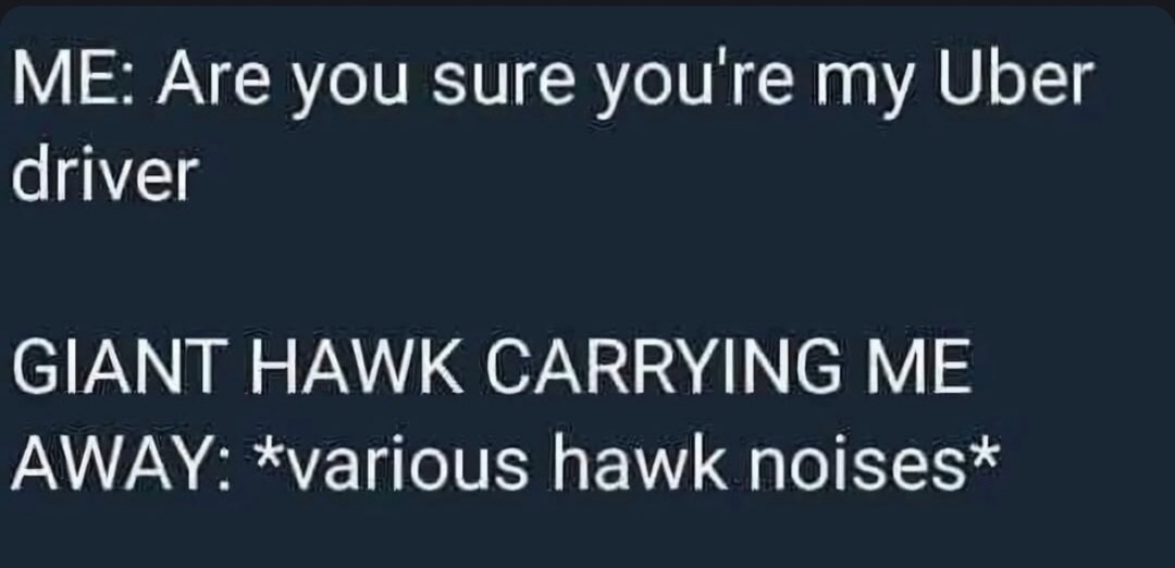 Me are you sure you're my Uber driver giant hawk carrying me away makes hawk noises - meme