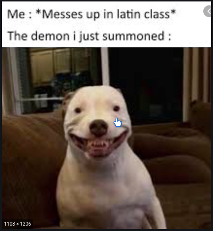 the demon - meme