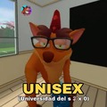 Significado de Unisex