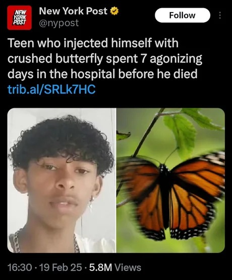 why would you do this - meme
