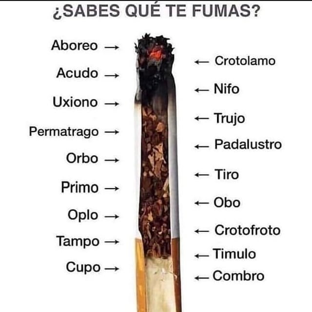 Quiero que alguien me shupe el pito :Sweet: - meme