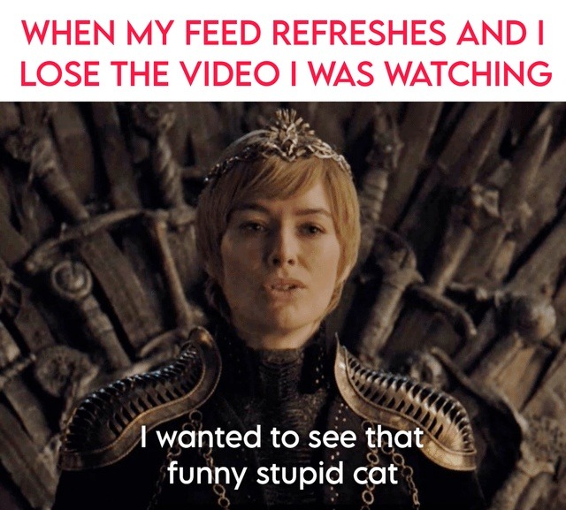 Feed refreshed. Cat video gone. Pain is real - meme
