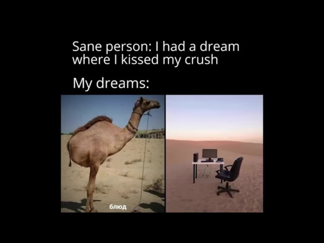 Dreams - meme