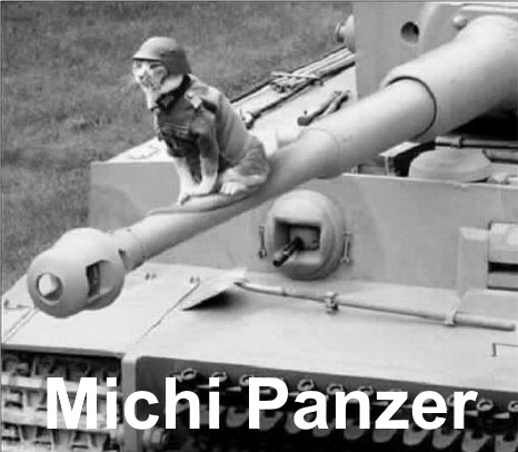 Michi Panzer - meme