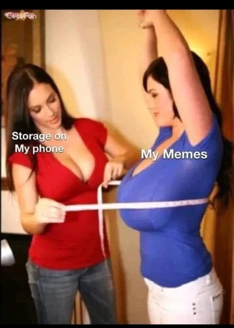Storage on my phone - meme