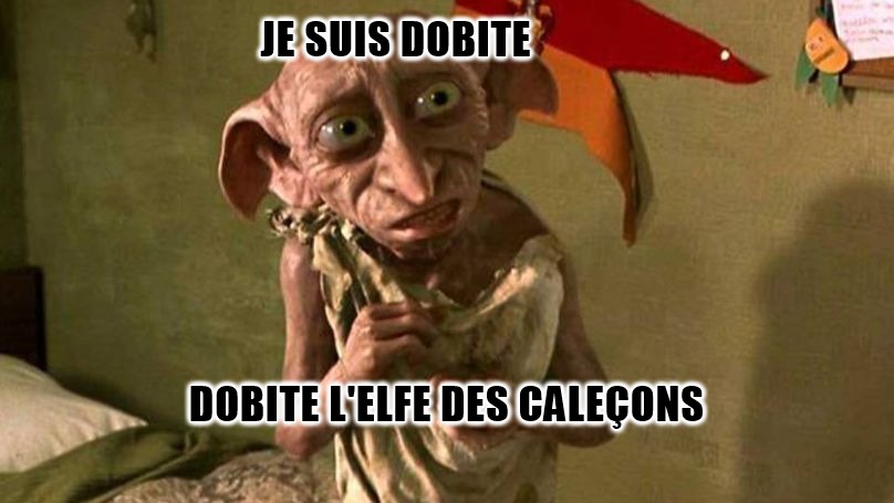 dobite l'elfe des caleçon - meme